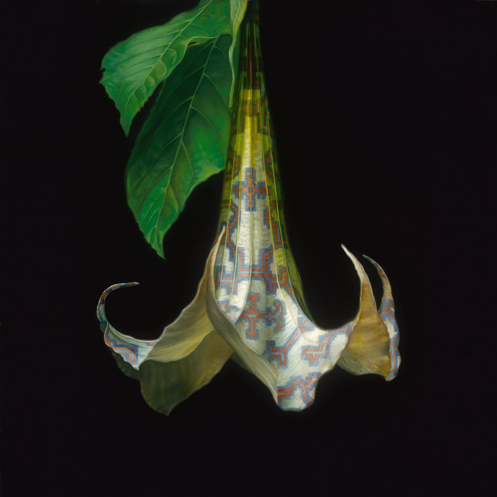 Angel's Trumpet - Limited Edition Print – RECTANGLE